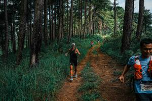 BIB: 
                            <button type="button" onclick="openModal(25653878)" class="btn btn-primary btn-sm float-right btn-popup" data-toggle="modal" data-target=".modal-high-quality">
                        <i class="fas fa-shopping-cart"></i> Add to Cart
                    </button>
                                            <button type="button" onclick="isThisMe(25653878, true)" class="btn btn-success btn-sm float-right btn-popup btn-isme hidden" data-toggle="tooltip" data-placement="bottom" title="นี่คือรูปของคุณใช่ไหม คลิกที่นี่เพื่อเอาเข้าอัลบั้ม">
                        <i class="fas fa-plus"></i> Add to album
                    </button>
                    <button type="button" onclick="isThisMe(25653878, false)" class="btn btn-warning btn-sm float-right btn-popup btn-isnotme hidden">
                        <i class="fas fa-ban"></i> Remove from album
                    </button>